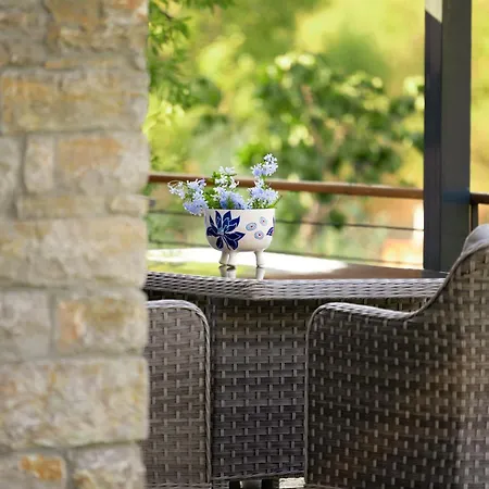 Chalet Stone House In Mesudiye *